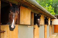 free Carnon Downs stable construction quotes